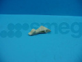 Smeg Hook - 763850015 Locking Hook